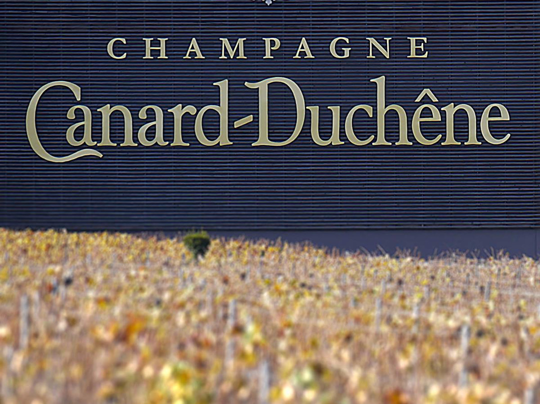 Champagne Canard-Duchene景点图片