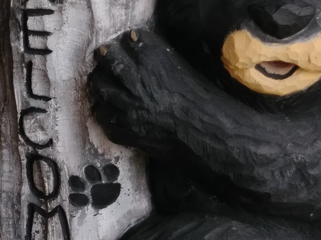 Dock's Motel & Cabins主图