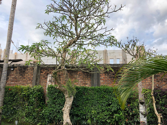 格鲁旺精品别墅酒店主图