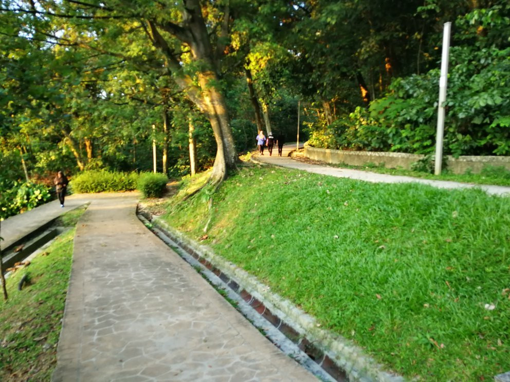 Bukit Kiara Park景点图片