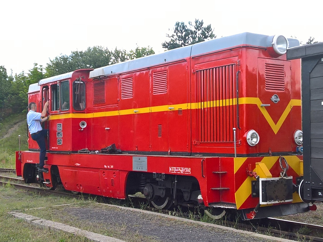 Upper-Silesian Narrow-Gauge Railway景点图片