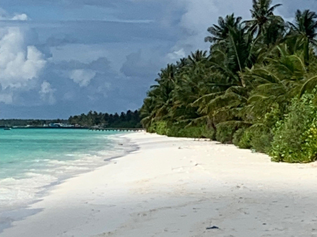 阿姆拉宫酒店主图