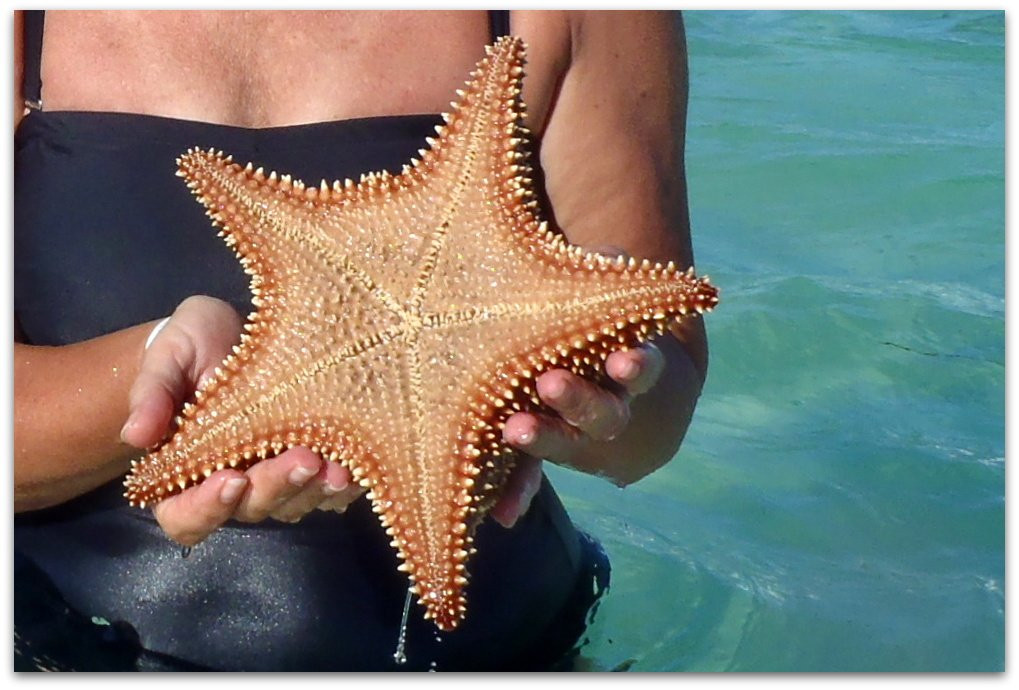 Piscina Natural La Catalina Cabrera-Cabrera必去景点