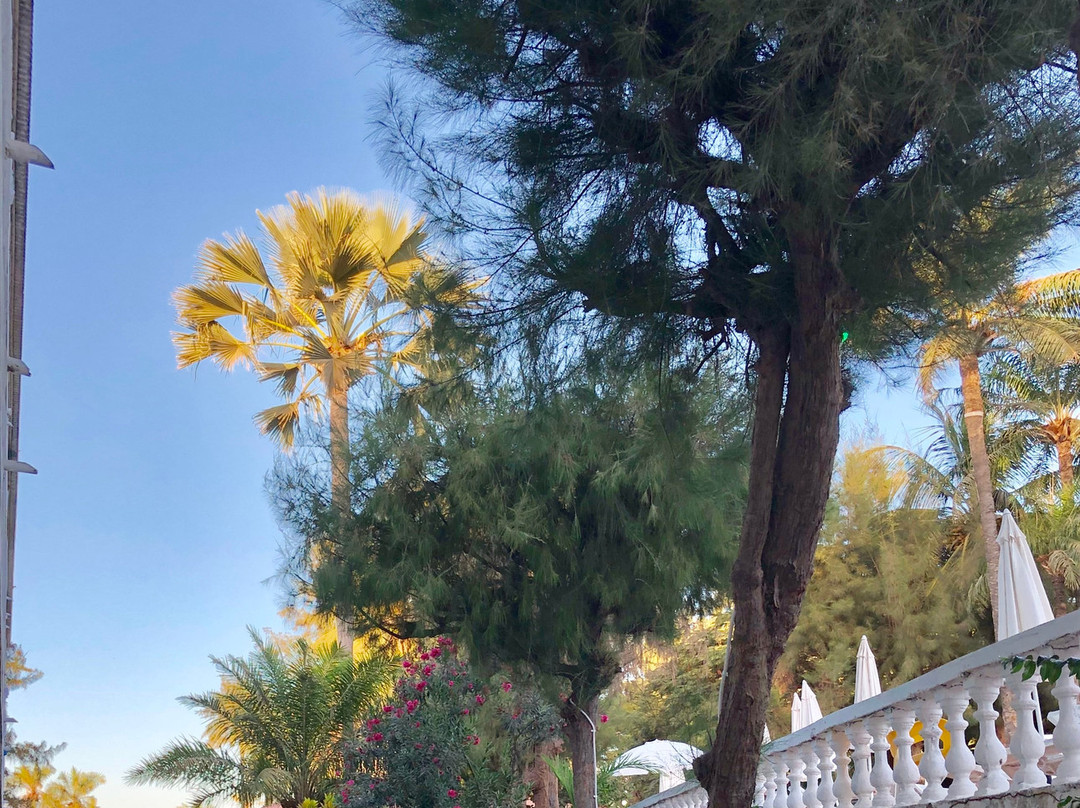 Palma Rima Hotel主图