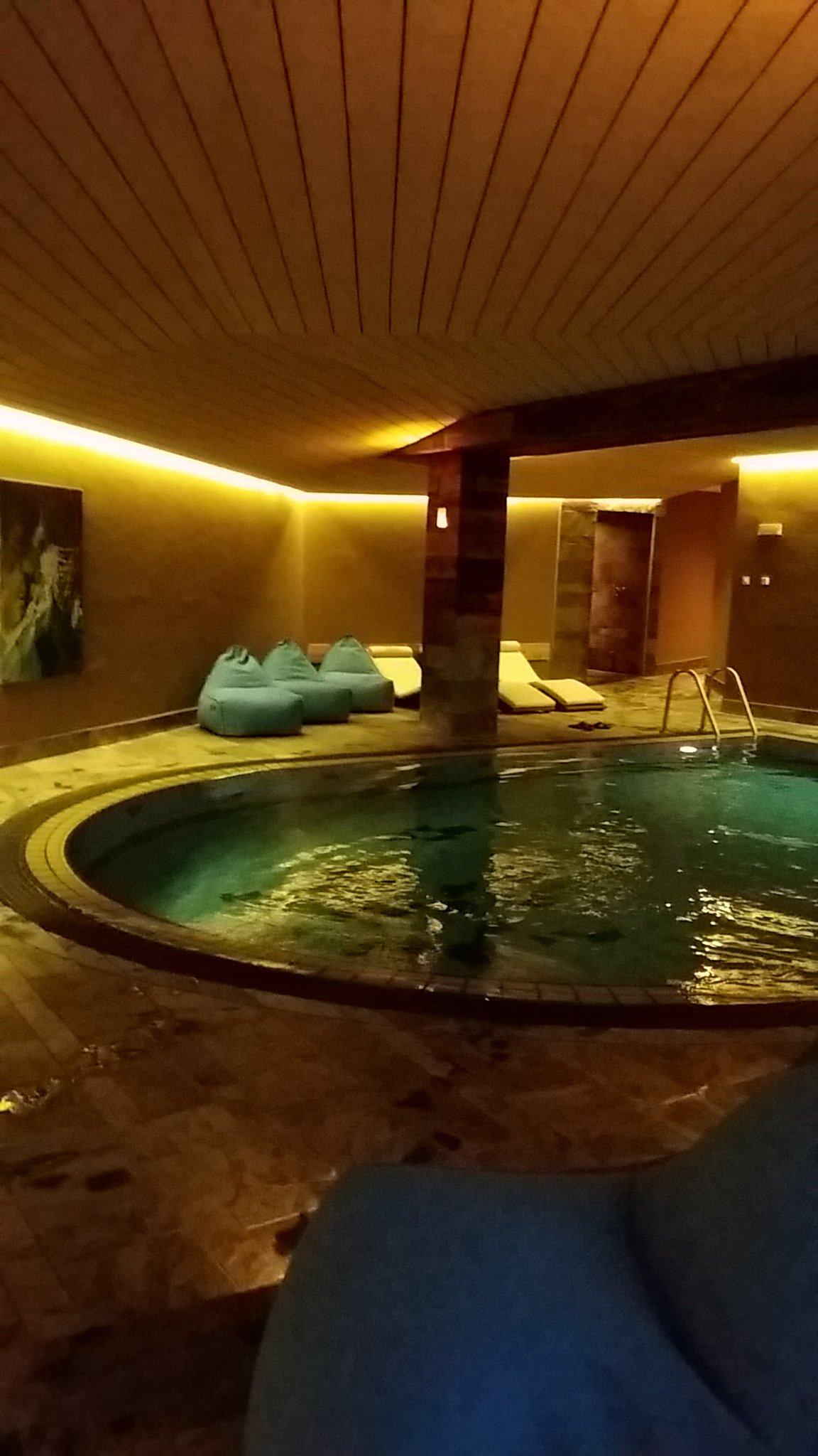 Hotel Hubertus-泳池