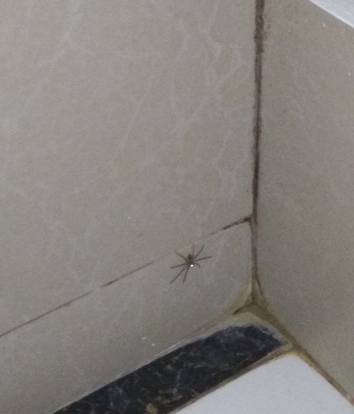 Zanrock Micro Hotel and Orlando's Resto Bar主图