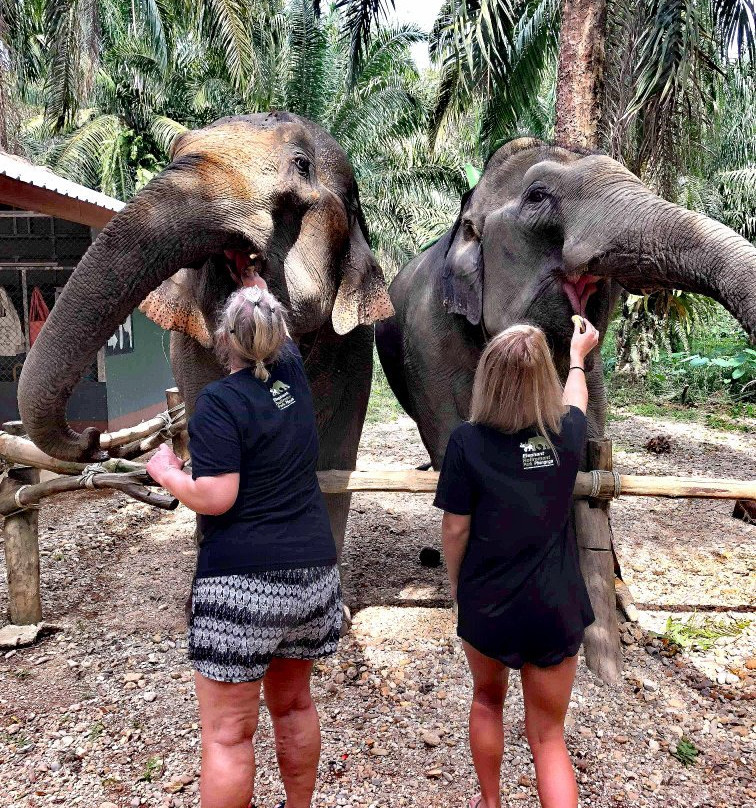 Elephant Retirement Park Phang Nga景点图片