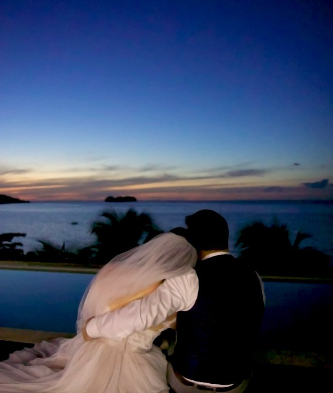 La Gaviota Tropical主图