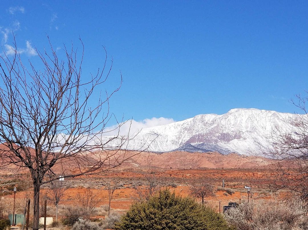 Coral Springs Resort主图