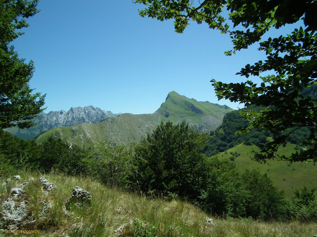 Campocecina Carrara Ms景点图片