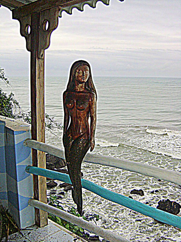 Punta Prieta Guest House主图