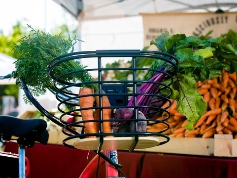 Roll Ebike & Paddle Board-杜兰戈必去景点