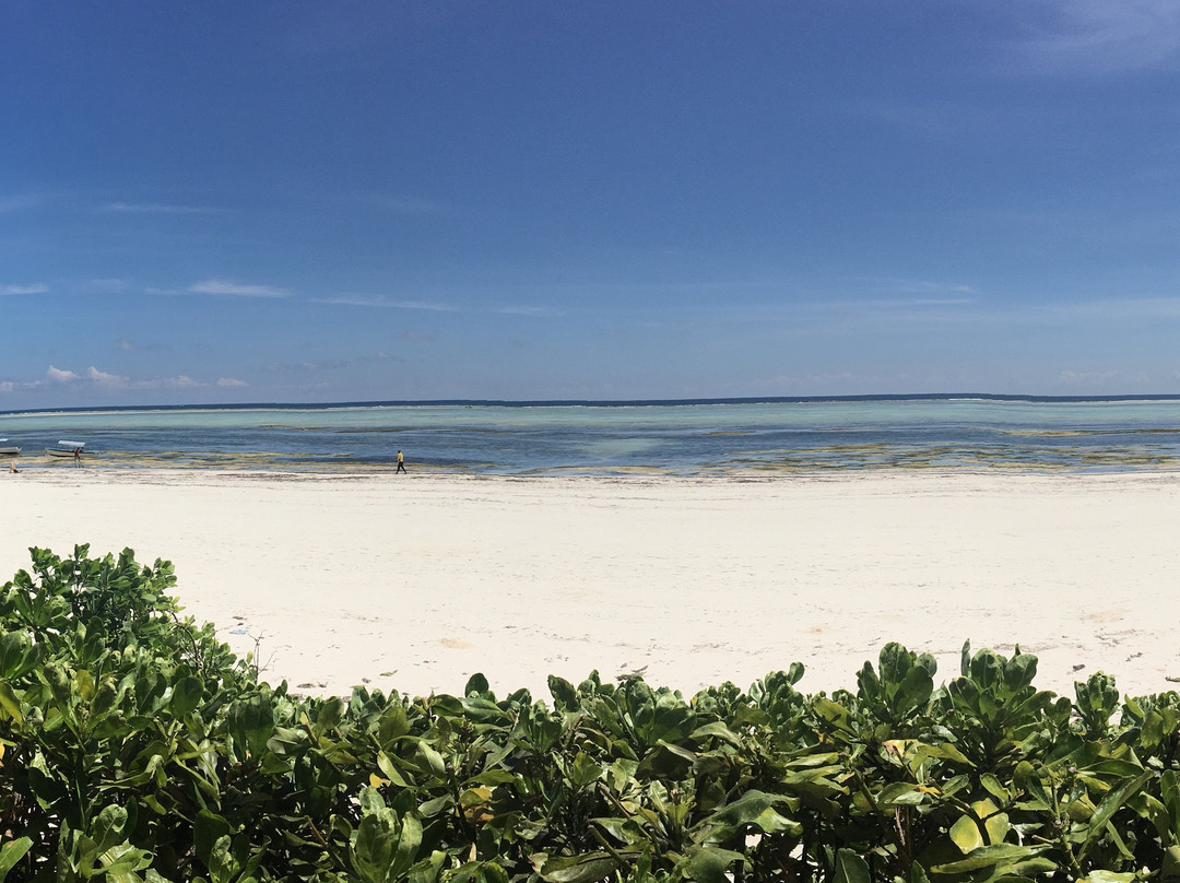 Villa Kiva Boutique Hotel主图