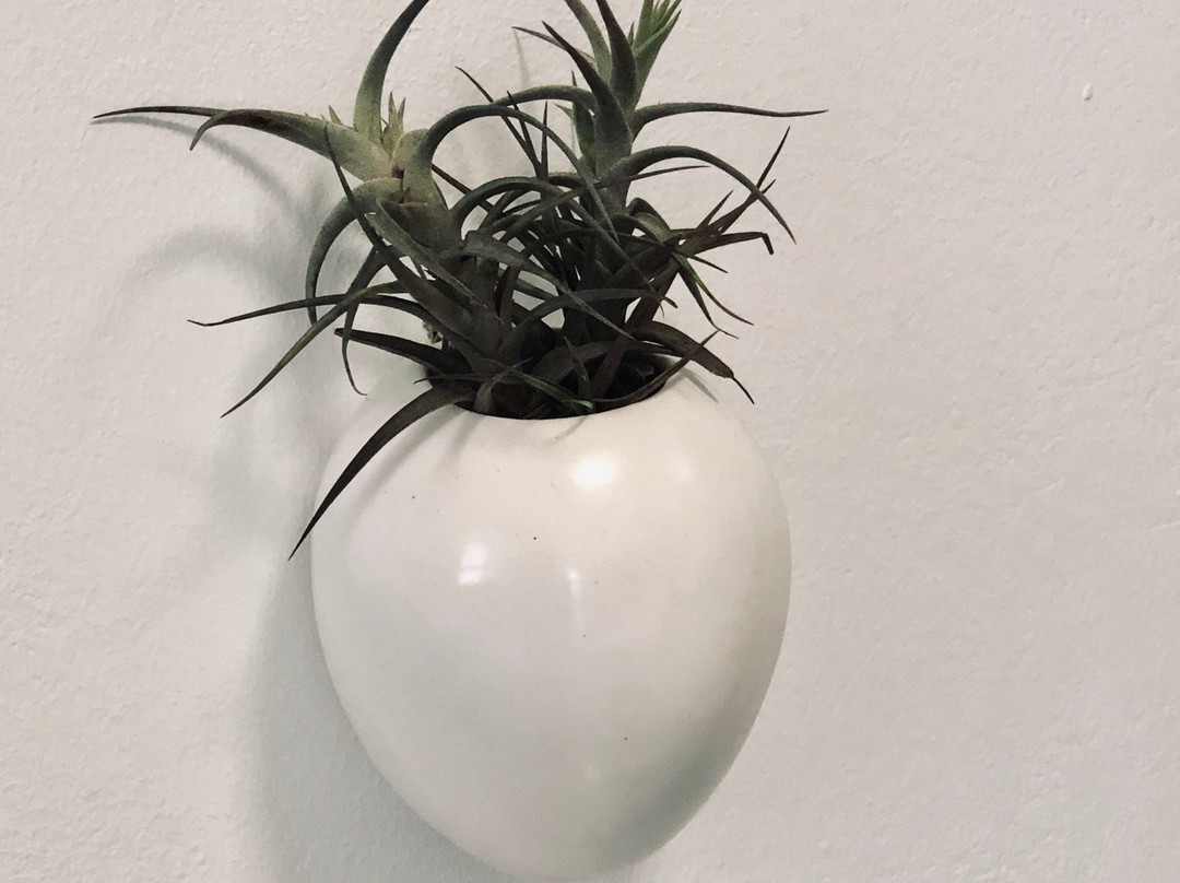 Karee Manor Guesthouse主图