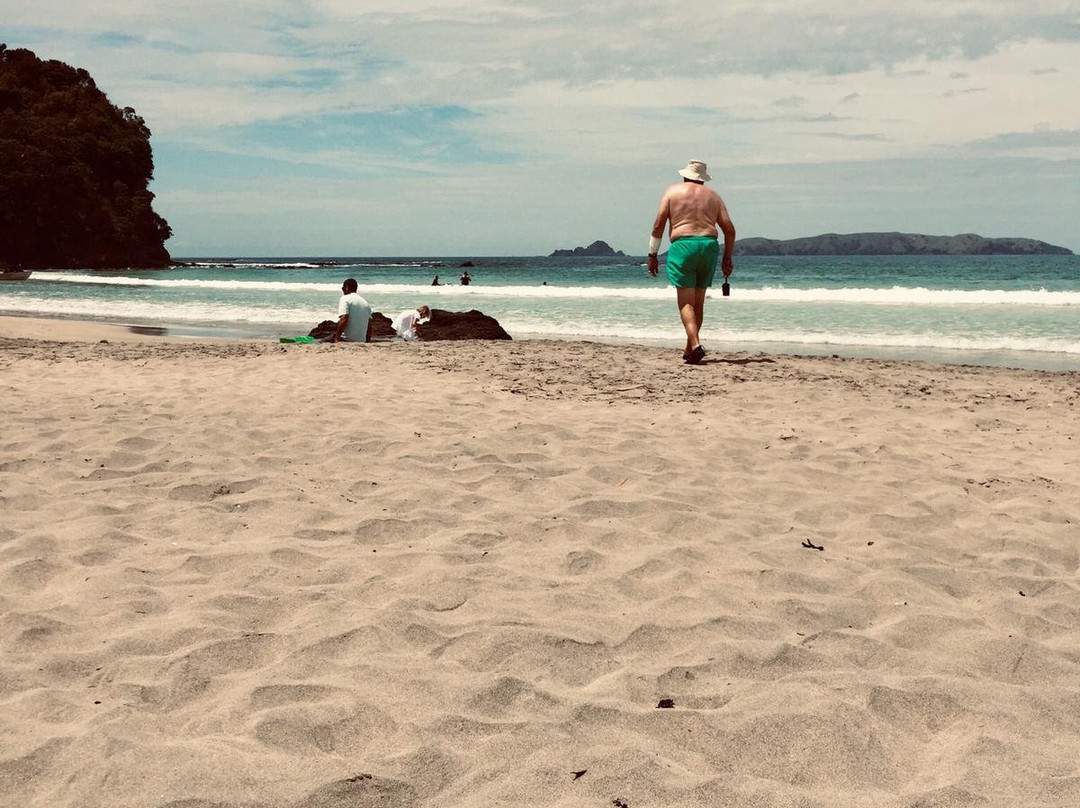 Taupo Bay Beach景点图片
