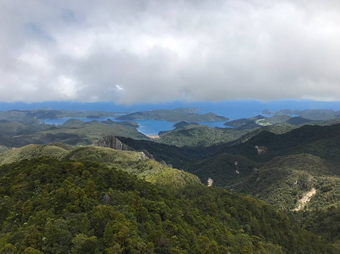 Mt Hobson via Windy Canyon-Great Barrier Island必去景点