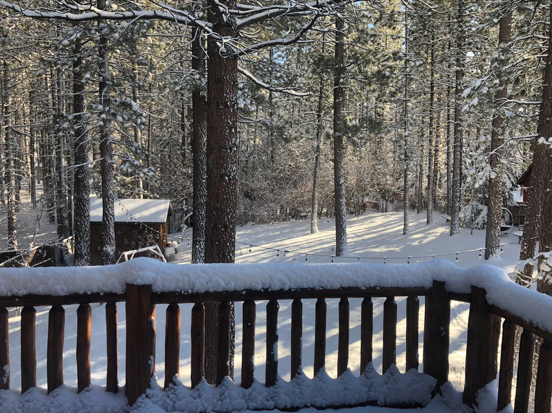 Alpenhorn Bed and Breakfast Inn主图