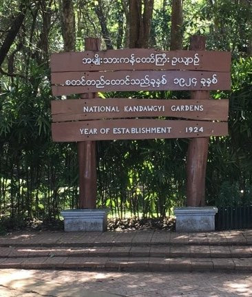 National Kandawgyi Botanical Gardens-彬乌伦必去景点