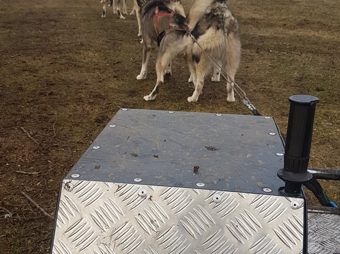 Cantal Mushing-Pailherols必去景点