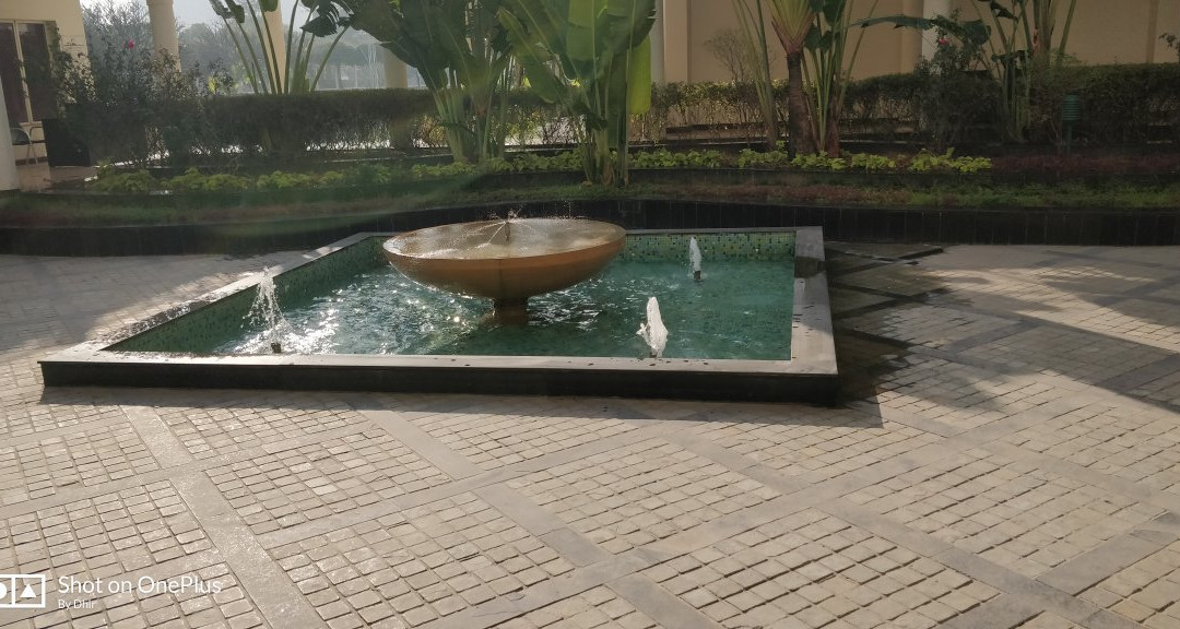 Elevate By Treehosue主图