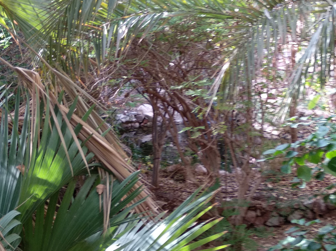 The Botanical Garden Of Eilat-埃拉特必去景点