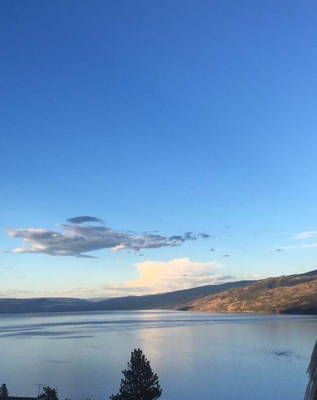 Okanagan Oasis B&B主图