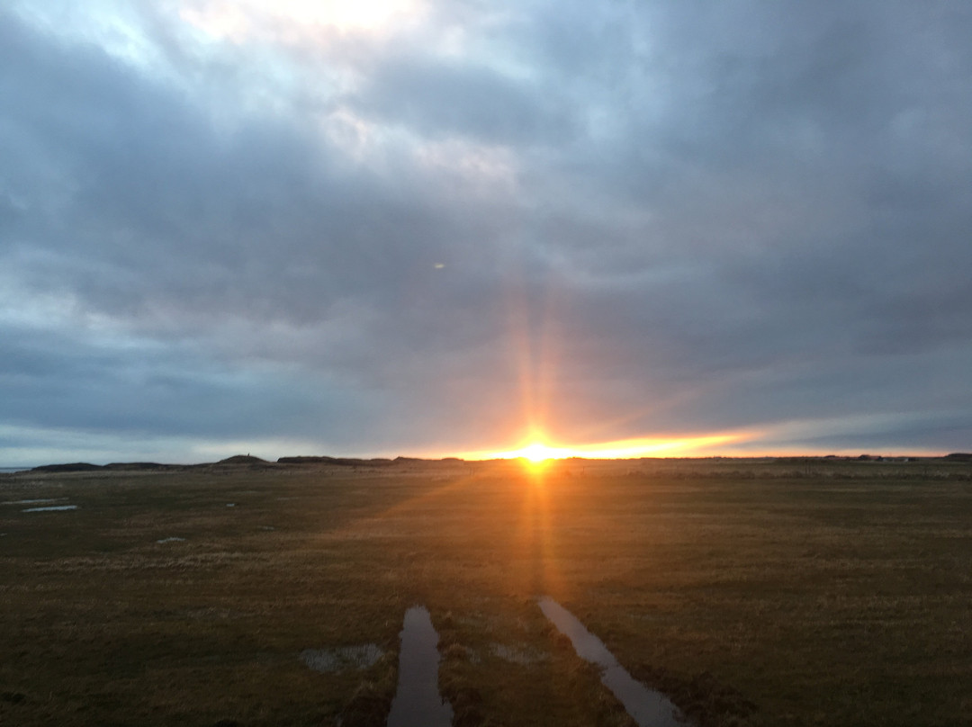 迪尼安蒂宾馆主图