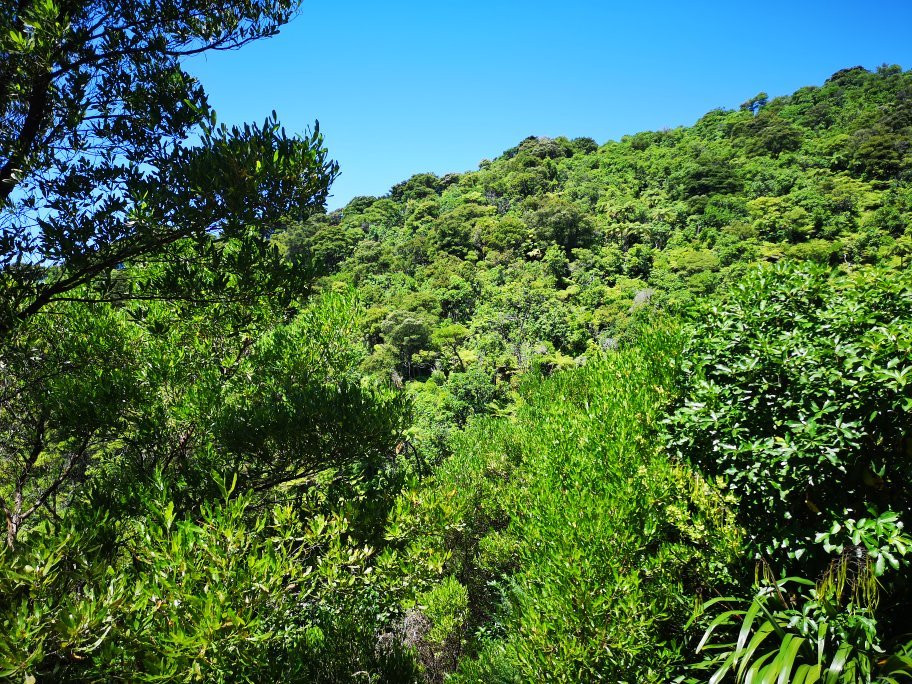 Kaipupu Sanctuary景点图片