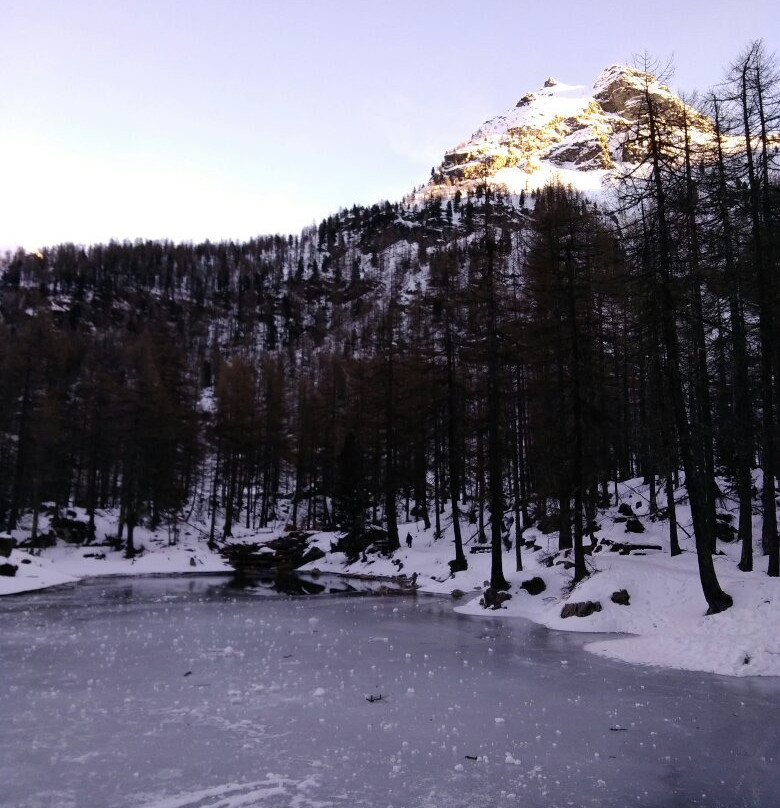 Lago Pellaud景点图片
