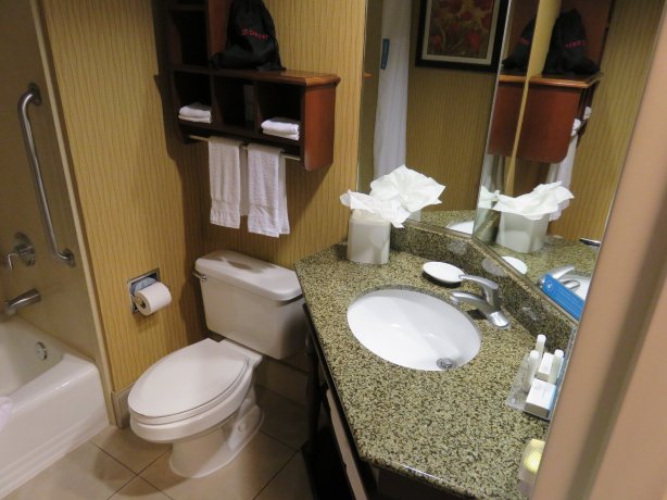 Hampton Inn St. George-浴室