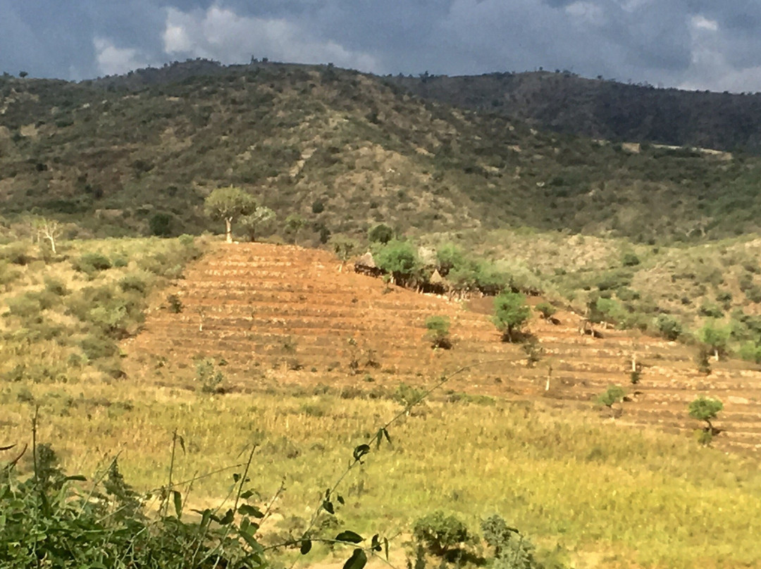 Konso Cultural Centre景点图片