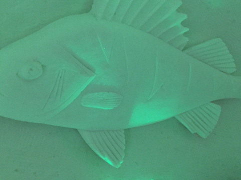 Näkkälä Safaris-Enontekiö必去景点