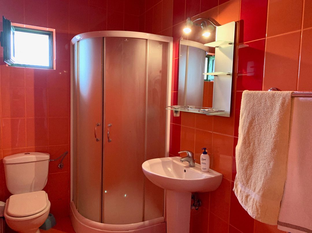 Pensiunea Confort主图