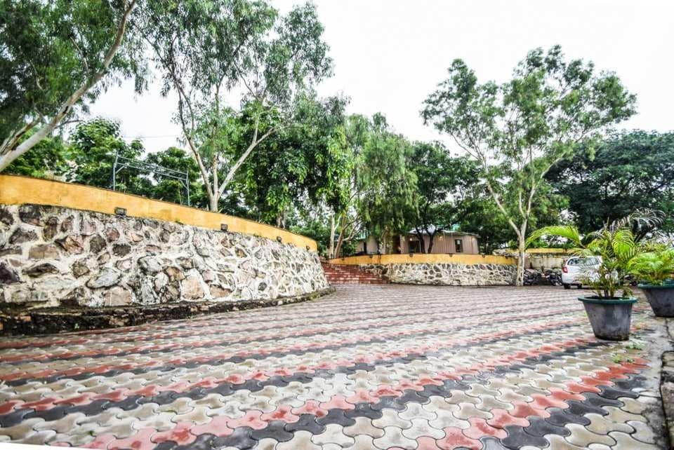 The Space Jungle Retreat主图