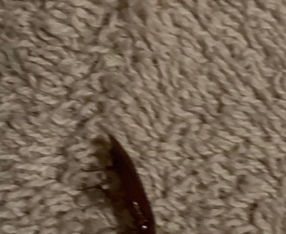 Tshipise A Forever Resort主图