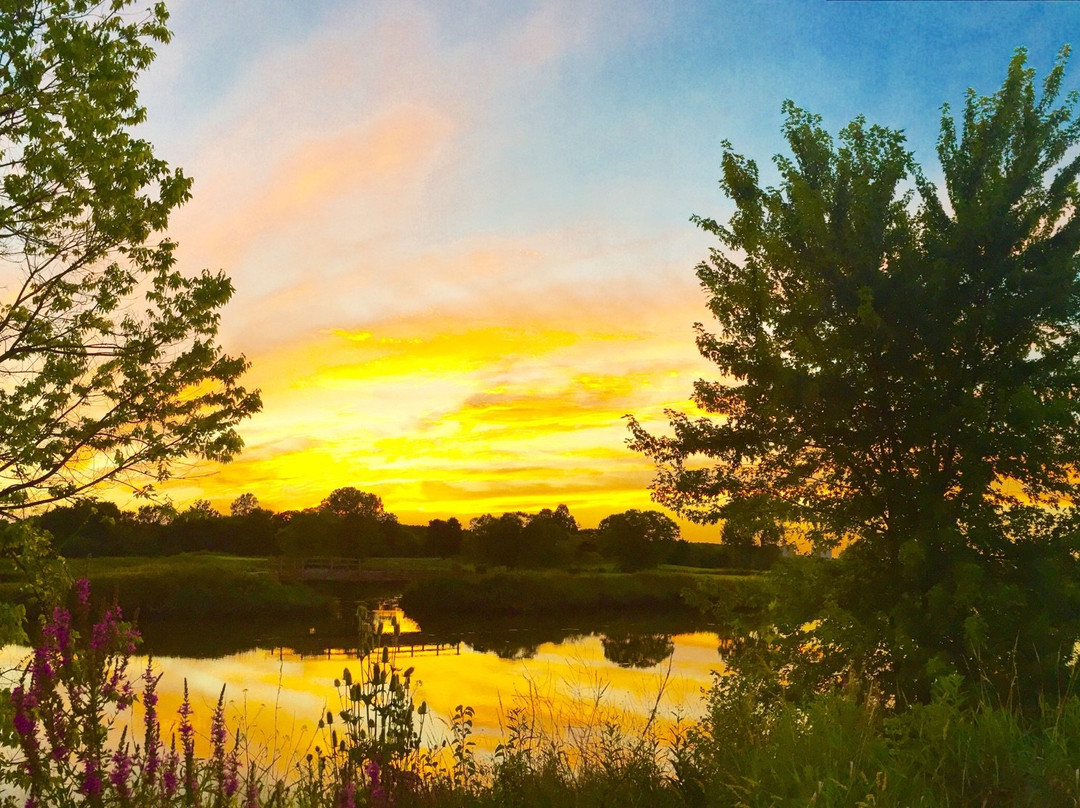 Seven Bridges Golf Club-Woodridge必去景点