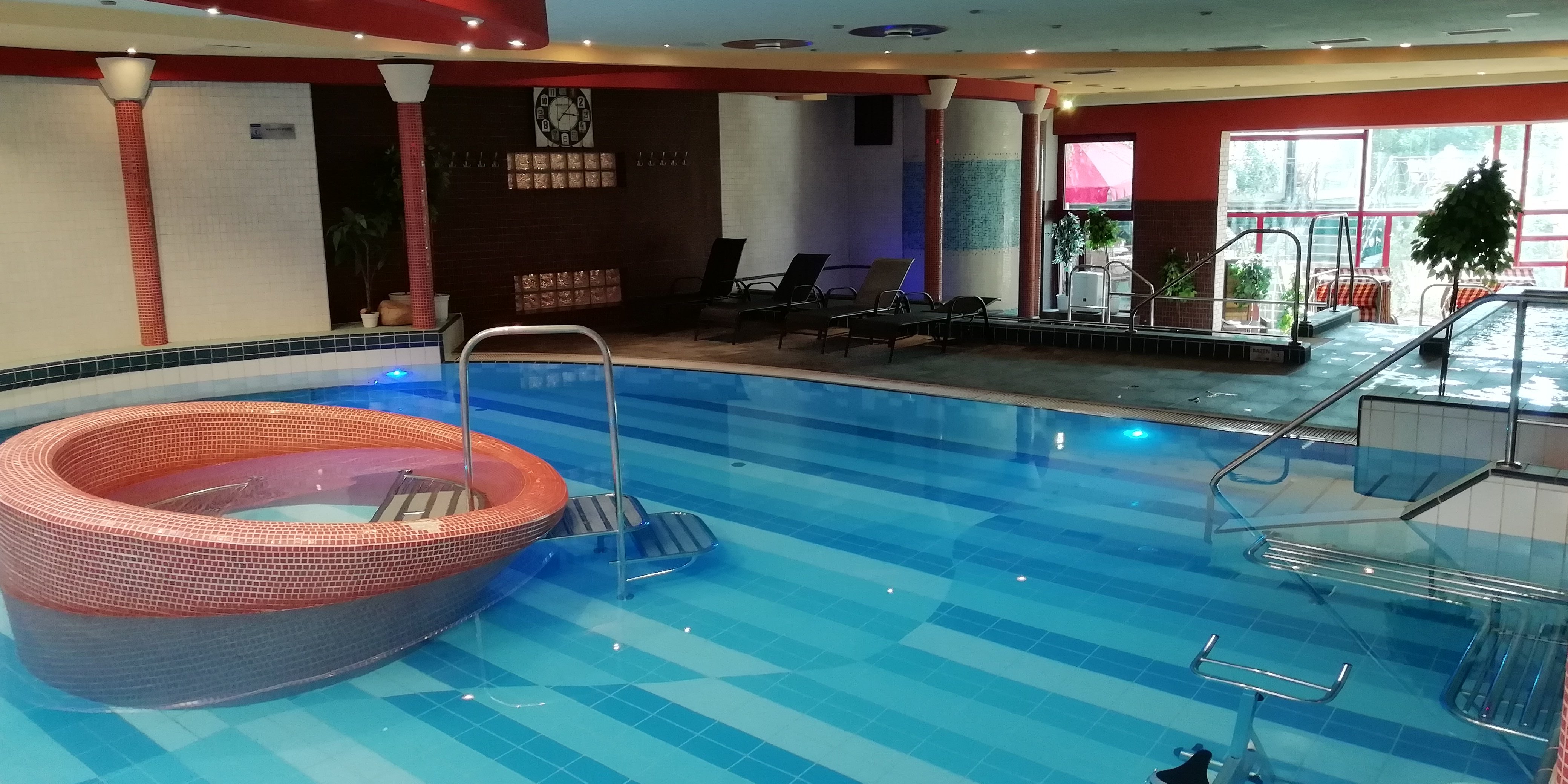 Hotel Therma-泳池
