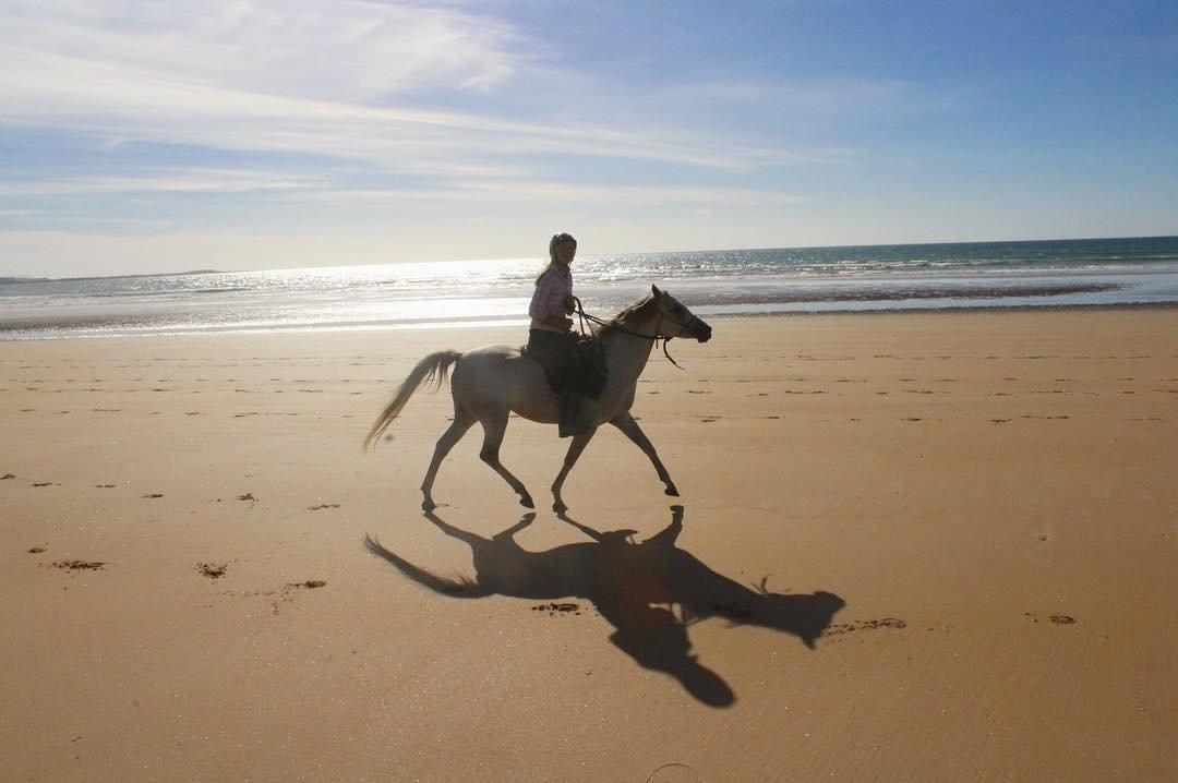 Australian Horse Adventures景点图片