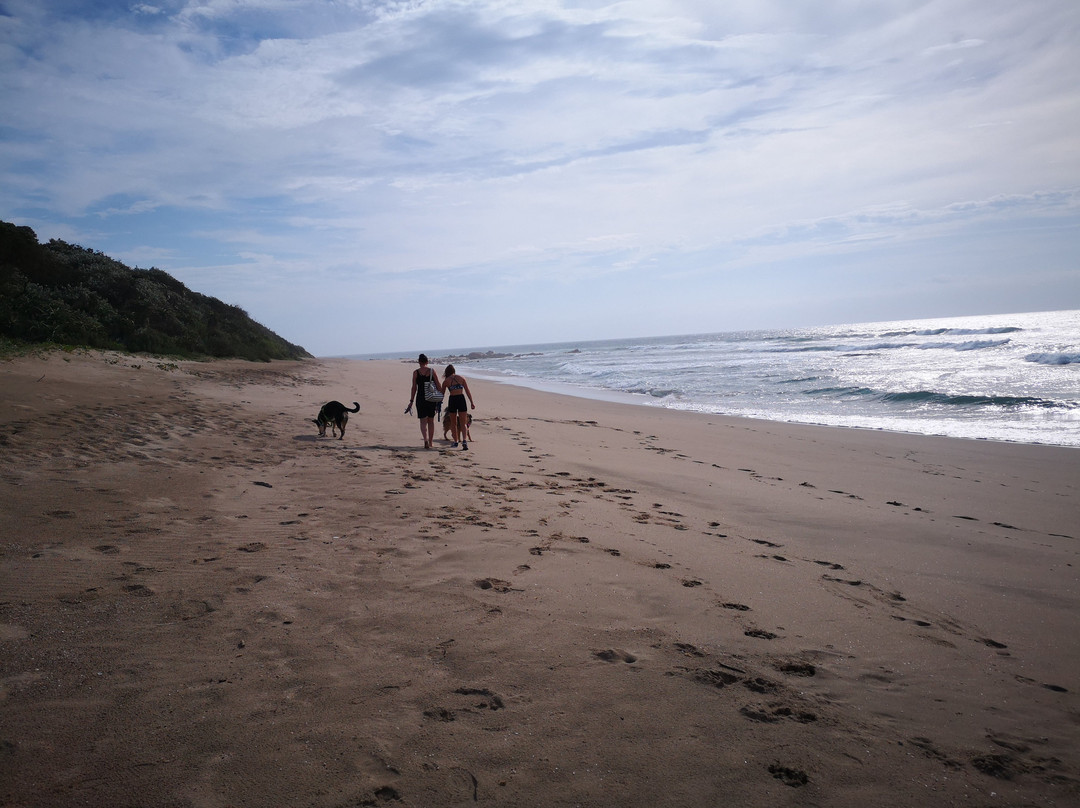The Merry Crab Beach Lodge