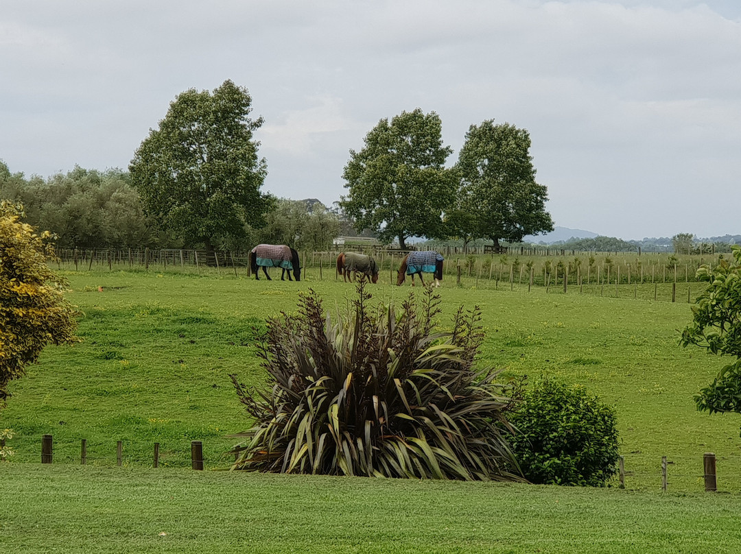 Summerfields Farm