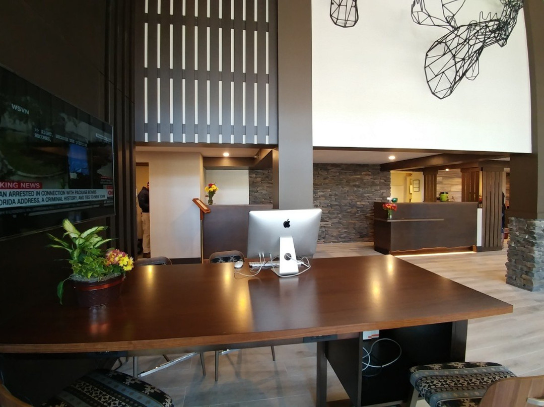 伯灵顿希尔顿逸林酒店主图