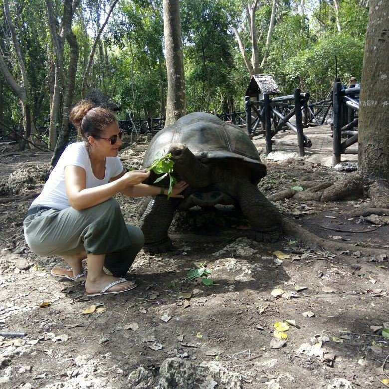 Cosmo Tours & Safaris景点图片
