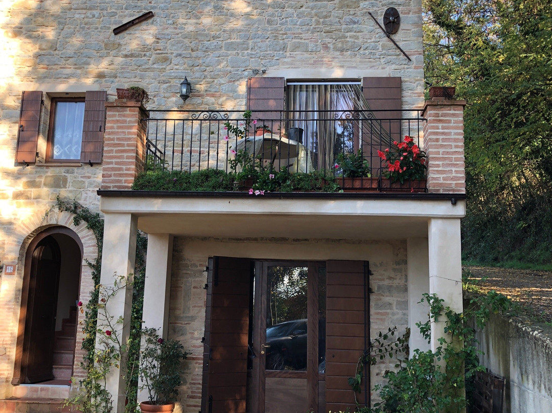 Vigna della Ripa