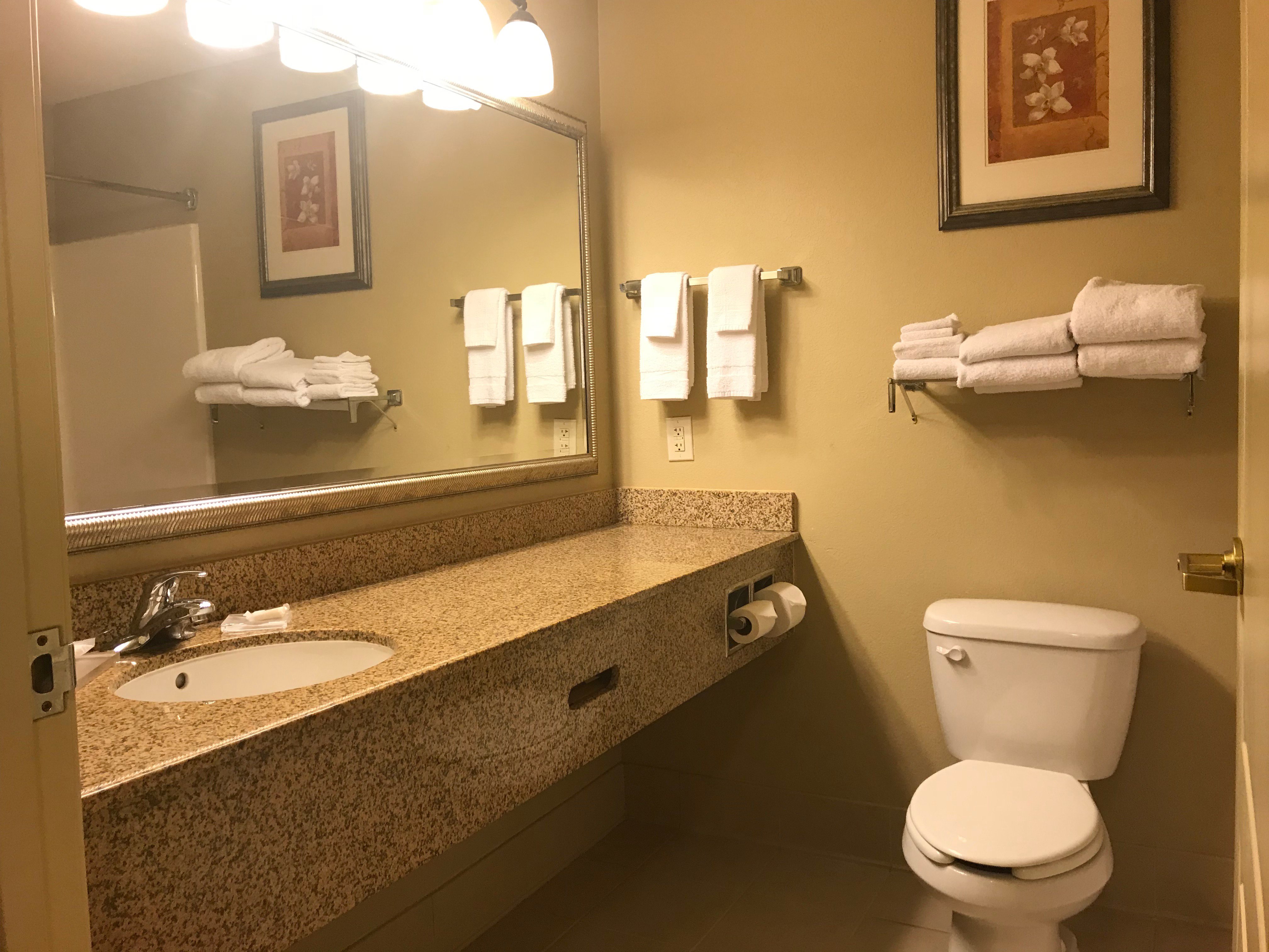 Country Inn & Suites by Radisson, Rocky Mount, NC-浴室