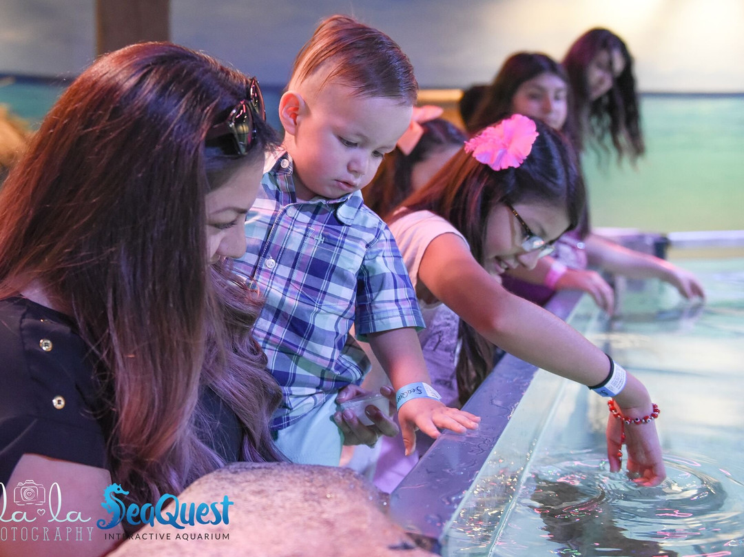 NorCal Aquarium & Wildlife-佛森必去景点