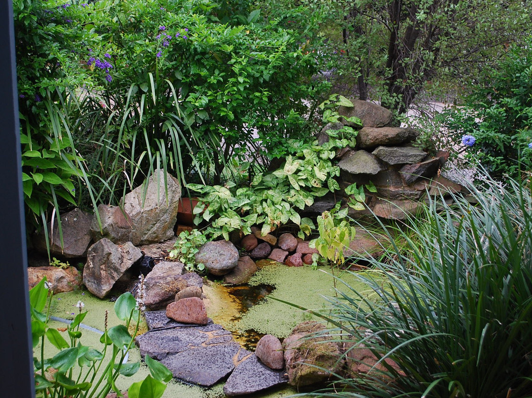 Maddies of Bolwarra主图