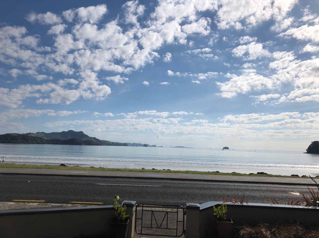 Blue Marlin Apartments主图