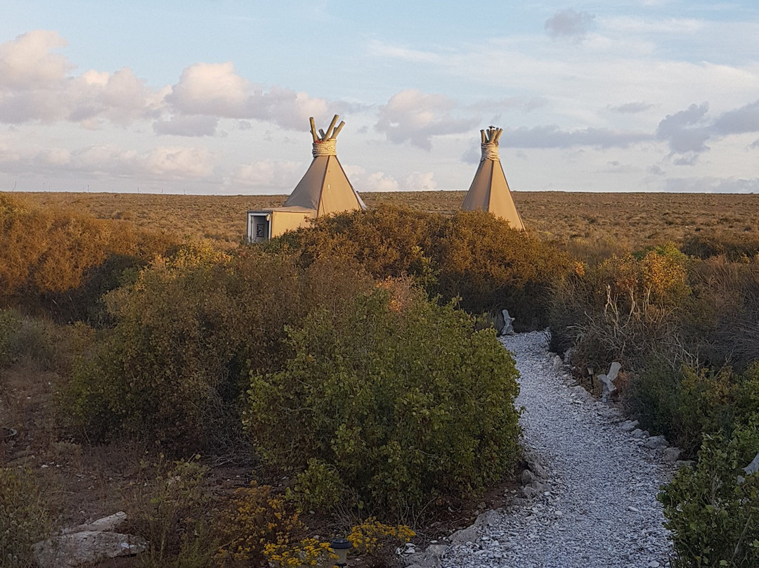 Farr Out Guesthouse主图