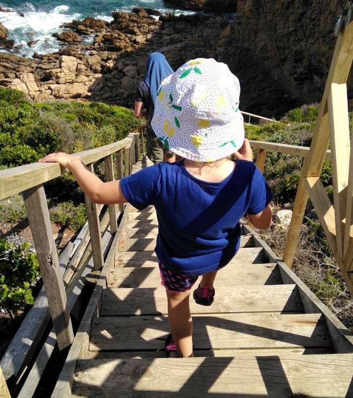 Point of Human Origins-莫塞尔贝必去景点