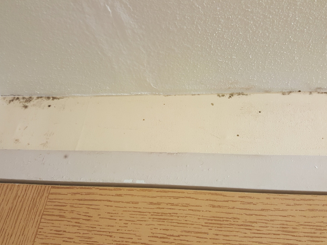 Med City Inn & Suites主图